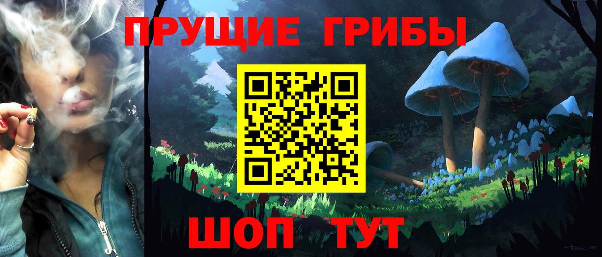 APVP Канаш