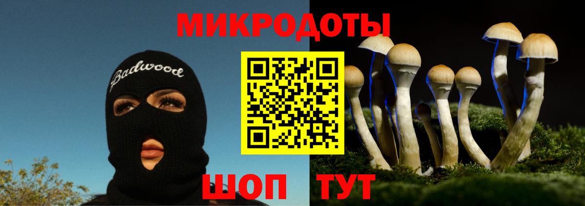 Галлюциногенные грибы Psilocybine cubensis Канаш